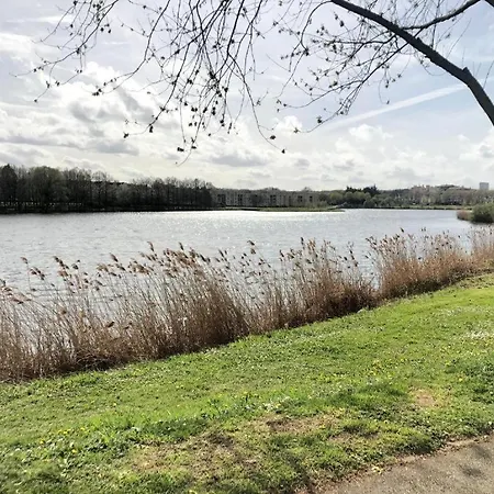 Disneyland Paris - Calm & Cute 6 Mins From Rer A! * Torcy (Seine-et-Marne)